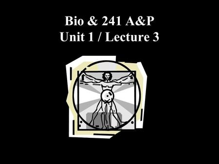 Bio & 241 A&P Unit 1 / Lecture 3. Tissues All body tissues arise from three fundamental embryonic tissues. Endoderm: forms epithelial tissues lining internal.