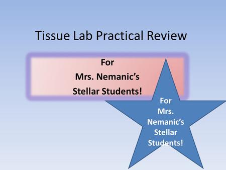 Tissue Lab Practical Review For Mrs. Nemanic’s Stellar Students! For Mrs. Nemanic’s Stellar Students!