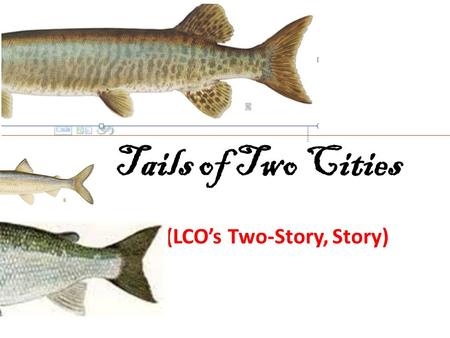 Tails of Two Cities (LCO’s Two-Story, Story). Literary (Parallels) “It was the best of times….It was the worst of times…” – Charles Dickens from the classic.