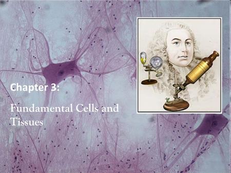 Chapter 3: Fundamental Cells and Tissues.