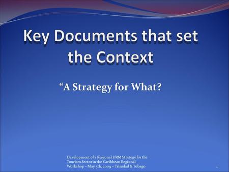 Development of a Regional DRM Strategy for the Tourism Sector in the Caribbean Regional Workshop – May 5th, 2009 – Trinidad & Tobago “A Strategy for What?