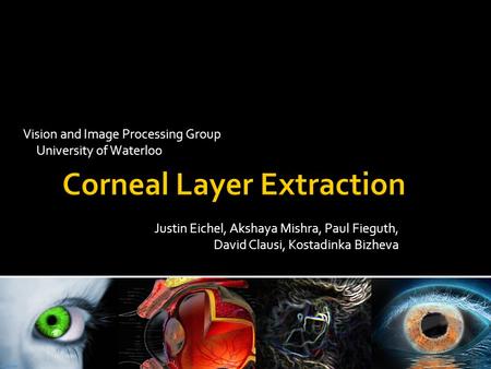 Vision and Image Processing Group University of Waterloo Justin Eichel, Akshaya Mishra, Paul Fieguth, David Clausi, Kostadinka Bizheva.