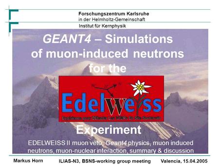Institut für Kernphysik Markus Horn ILIAS-N3, BSNS-working group meeting Valencia, 15.04.2005 Forschungszentrum Karlsruhe in der Helmholtz-Gemeinschaft.