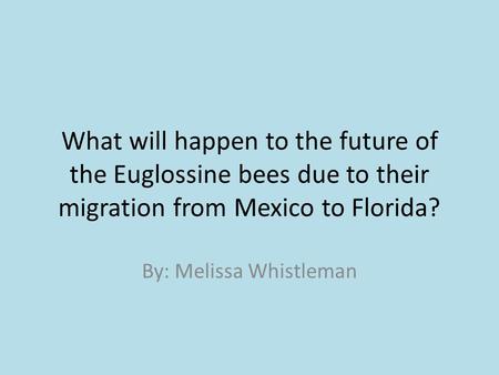 What will happen to the future of the Euglossine bees due to their migration from Mexico to Florida? By: Melissa Whistleman.