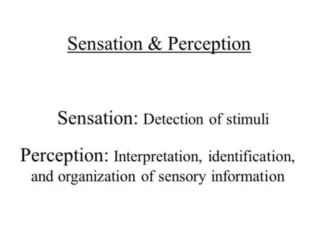 Sensation & Perception