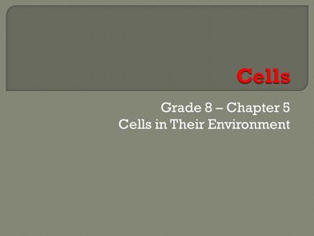 Grade 8 – Chapter 5 Cells in Their Environment