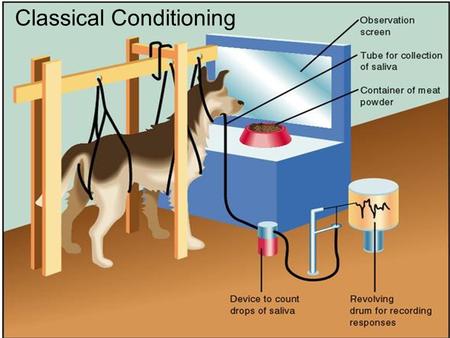 Classical Conditioning. A. Definitions 1.Classical conditioning: learning that takes place when originally neutral stimulus comes to produce a conditioned.