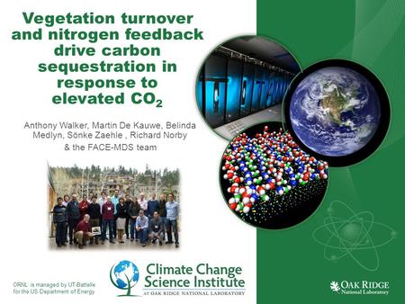 ORNL is managed by UT-Battelle for the US Department of Energy Vegetation turnover and nitrogen feedback drive carbon sequestration in response to elevated.