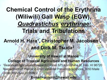 Chemical Control of the Erythrina (Wiliwili) Gall Wasp (EGW), Quadrastichus erythrinae: Trials and Tribulations Arnold H. Hara 1, Christopher M. Jacobsen.