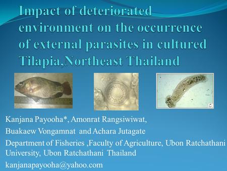 Kanjana Payooha*, Amonrat Rangsiwiwat, Buakaew Vongamnat and Achara Jutagate Department of Fisheries,Faculty of Agriculture, Ubon Ratchathani University,