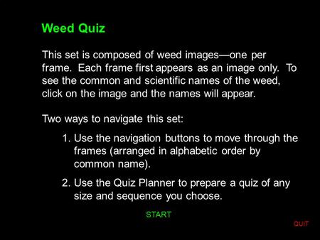 Weed Quiz This set is composed of weed images—one per frame. Each frame first appears as an image only. To see the common and scientific names of the weed,