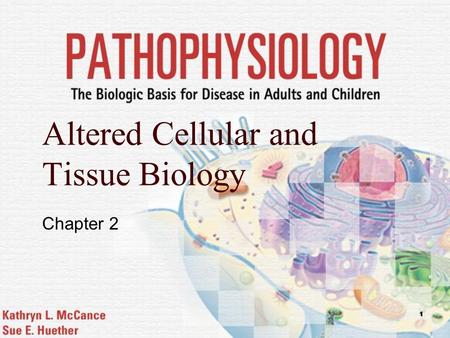 1 Altered Cellular and Tissue Biology Chapter 2. Mosby items and derived items © 2006 by Mosby, Inc. 2 Cellular Adaptation Physiologic vs. pathogenic.