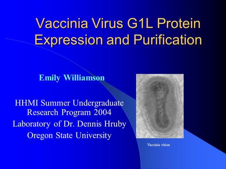 Vaccinia Virus G1L Protein Expression and Purification HHMI Summer Undergraduate Research Program 2004 Laboratory of Dr. Dennis Hruby Oregon State University.