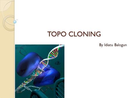 TOPO CLONING By Idiatu Balogun. INTRODUCTION The structure of DNA is a double-stranded helix, where in the four bases, adenine, thymine, guanine, and.