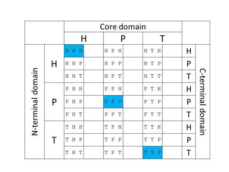 Core domain HPT N-terminal domain H H H H H P H H T H H C-terminal domain H H P H P P H T P P H H T H P T H T T T P P H H P P H P T H H P H P P P P P T.