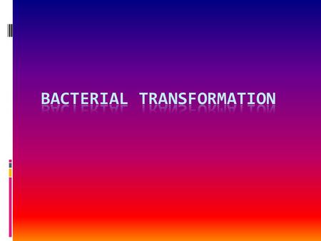 Genetically Engineered Bacteria  It’s basically how scientists and researchers manipulate genes from one species into the genome of a bacterium  Recall,