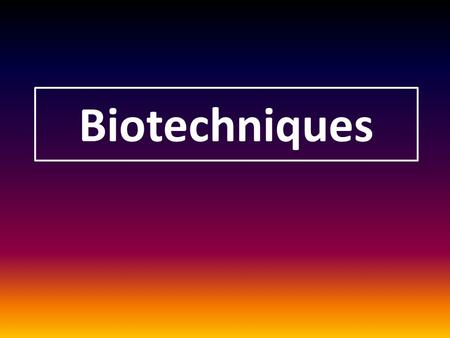 Biotechniques. Restriction Enzymes endonucleases Bacteria have endonucleases to cut up viral DNA. 400 About 400 different endonucleases Each endonuclease.