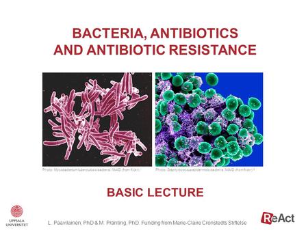 BACTERIA, ANTIBIOTICS AND ANTIBIOTIC RESISTANCE Photo: Mycobacterium tuberculosis bacteria, NIAID (from flickr). 1 Photo: Staphylococcus epidermidis bacteria,