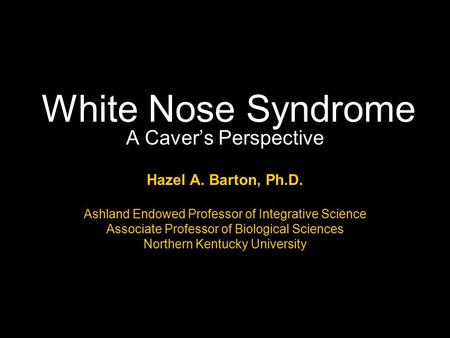 White Nose Syndrome A Caver’s Perspective Hazel A. Barton, Ph.D. Ashland Endowed Professor of Integrative Science Associate Professor of Biological Sciences.