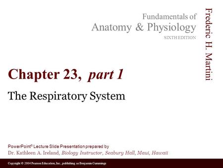 The Respiratory System