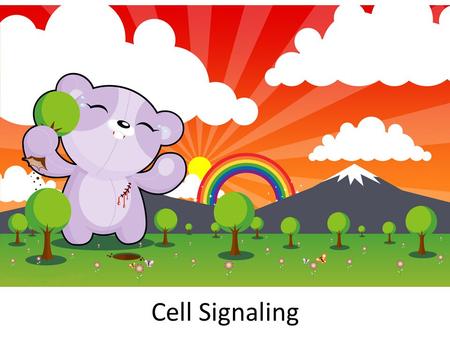 Cell Signaling. Tidbit Overview Course: Introductory Cell Molecular Biology. Unit title: Cell Signaling – The Original Social Networking. Class enrollment: