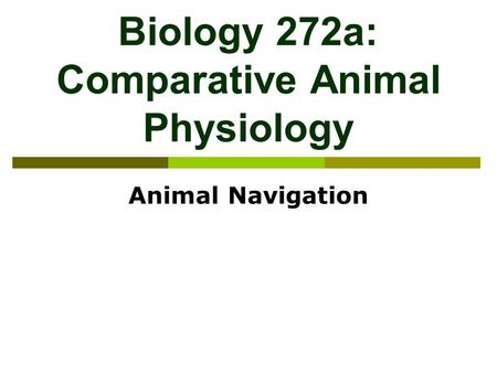 Biology 272a: Comparative Animal Physiology Animal Navigation.