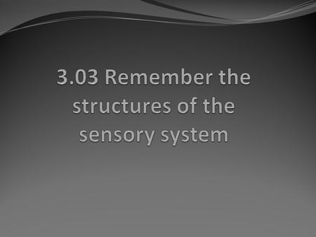 Essential questions What are the structures of the sensory system? 3.03 Remember the structures of the sensory system2.