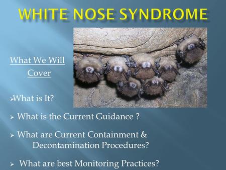 What We Will Cover  What is It?  What is the Current Guidance ?  What are Current Containment & Decontamination Procedures?  What are best Monitoring.