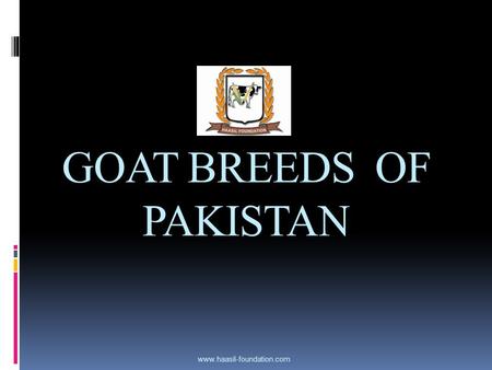 GOAT BREEDS OF PAKISTAN