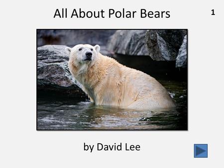 All About Polar Bears 1 by David Lee. What Polar Bears Look Like……………………….………pg. 3 How Polar Bears Live in the Cold……….………………pg. 7 Are Polar Bears in.