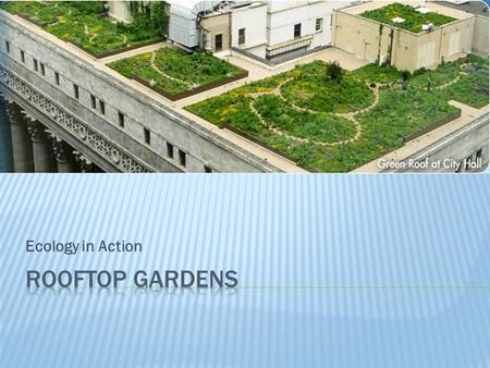 Ecology in Action.  Reduce the “urban heat island effect”  Reduce amount of greenhouse gas  Provide more space for agriculture  Reduce and clean storm.