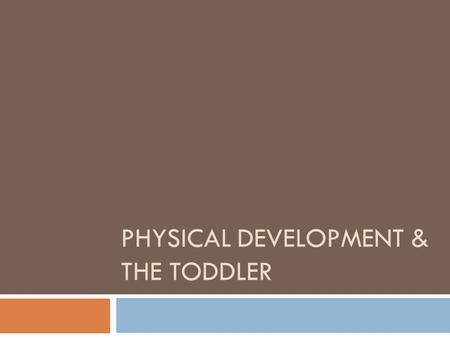 PHYSICAL DEVELOPMENT & THE TODDLER. Toddler  A name given to a child between the ages of 1 and 3 years old.