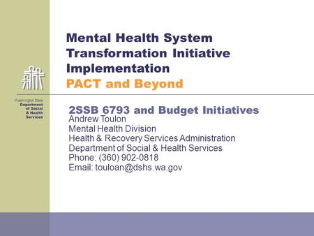 Mental Health System Transformation Initiative Implementation