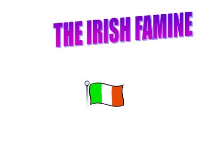 WHAT DO YOU KNOW ABOUT THE FAMINE? THE LUMPER IS A WHITE POTATO THAT WAS COMMONLY GROWN IN IRELAND BECAUSE IT PRODUCED A LARGE CROP AND GREW ON POOR.