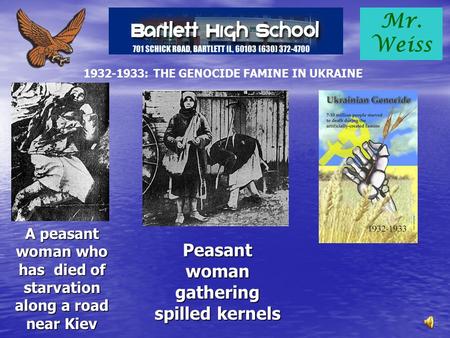 Mr. Weiss 1932-1933: THE GENOCIDE FAMINE IN UKRAINE A peasant woman who has died of starvation along a road near Kiev Peasant woman gathering spilled.