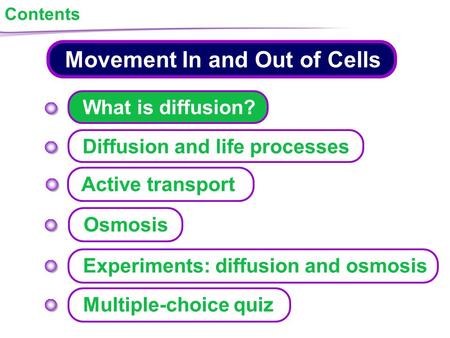 Movement In and Out of Cells