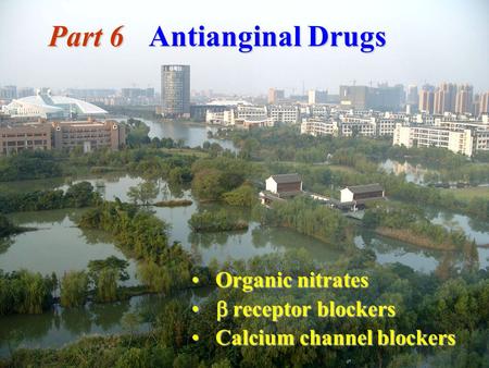 Part 6 Antianginal Drugs