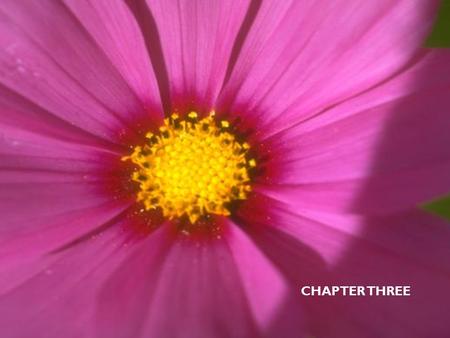 CHAPTER THREE. Increased sleeping pattern Withdrawal, confusion Decreased appetite/thirst Decreased ability to swallow Weight loss Eyes/vision, jaw, neck,