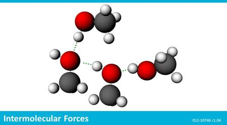 Intermolecular Forces 012-10746 r1.04. The Snapshot button is used to capture the screen. The Journal is where snapshots are stored and viewed. The Share.