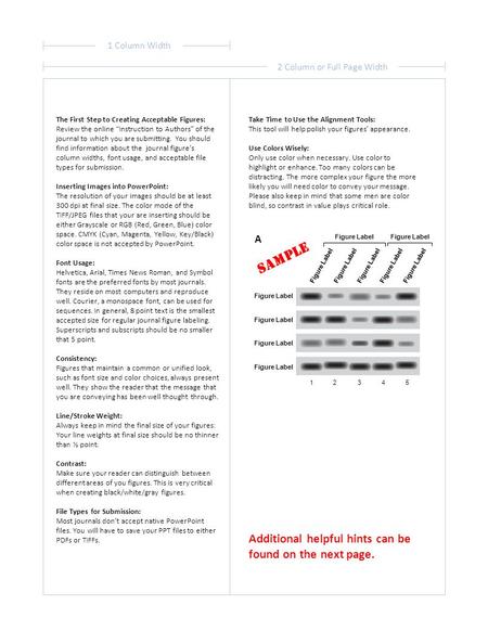 1 Column Width 2 Column or Full Page Width A The First Step to Creating Acceptable Figures: Review the online “Instruction to Authors” of the journal to.