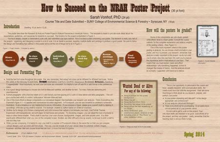 Introduction (heading 16 pt; text in 12 pt) This poster describes the Research & Analysis Poster Project in Natural Resources in American History. This.