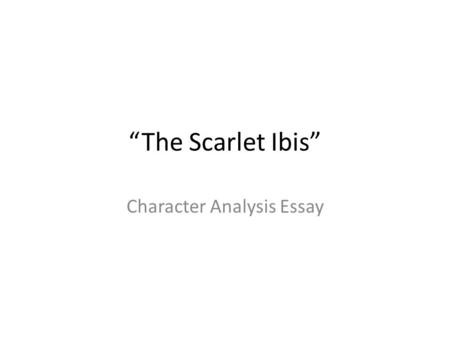 Character Analysis Essay