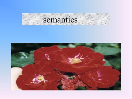 Semantics. Semantics is generally considered to be the study of meaning in language. What is Semantics ?