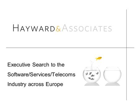 Executive Search to the Software/Services/Telecoms Industry across Europe.