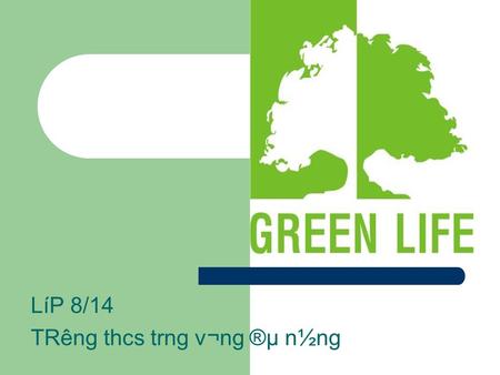 LíP 8/14 TR­êng thcs tr­ng v­¬ng ®µ n½ng A beautiful sea Can you see the picture? It shows all over the fresh sea. It looks like so beautiful. And that.