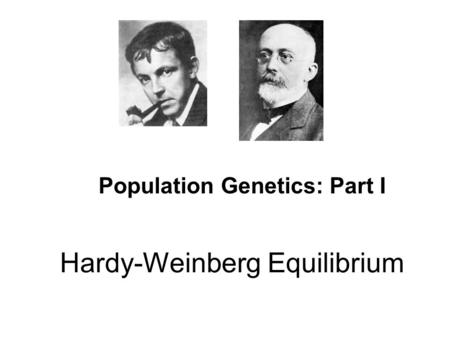 Hardy-Weinberg Equilibrium