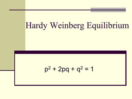 Hardy Weinberg Equilibrium