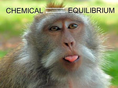 EQUILIBRIUM CHEMICAL. Chemical Equilibrium Reversible Reactions: A chemical reaction in which the products can react to re-form the reactants Chemical.