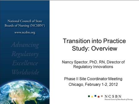 Transition into Practice Study: Overview Nancy Spector, PhD, RN, Director of Regulatory Innovations Phase II Site Coordinator Meeting Chicago, February.