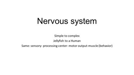 Nervous system Simple to complex Jellyfish to a Human Same: sensory- processing center- motor output-muscle (behavior)